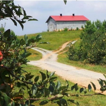 Close To Lake Blue Ridge, Hot Tub, Swing Beds Morganton 外观 照片