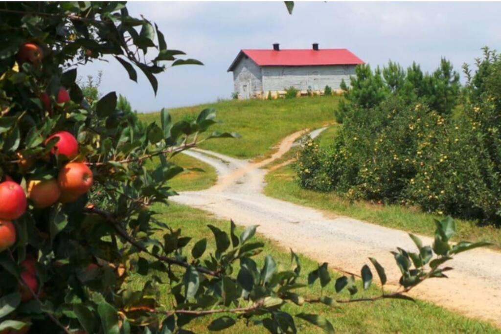 Close To Lake Blue Ridge, Hot Tub, Swing Beds Morganton 外观 照片